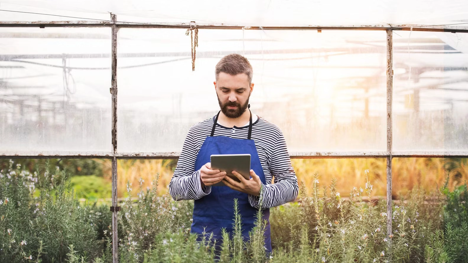 Application Integration