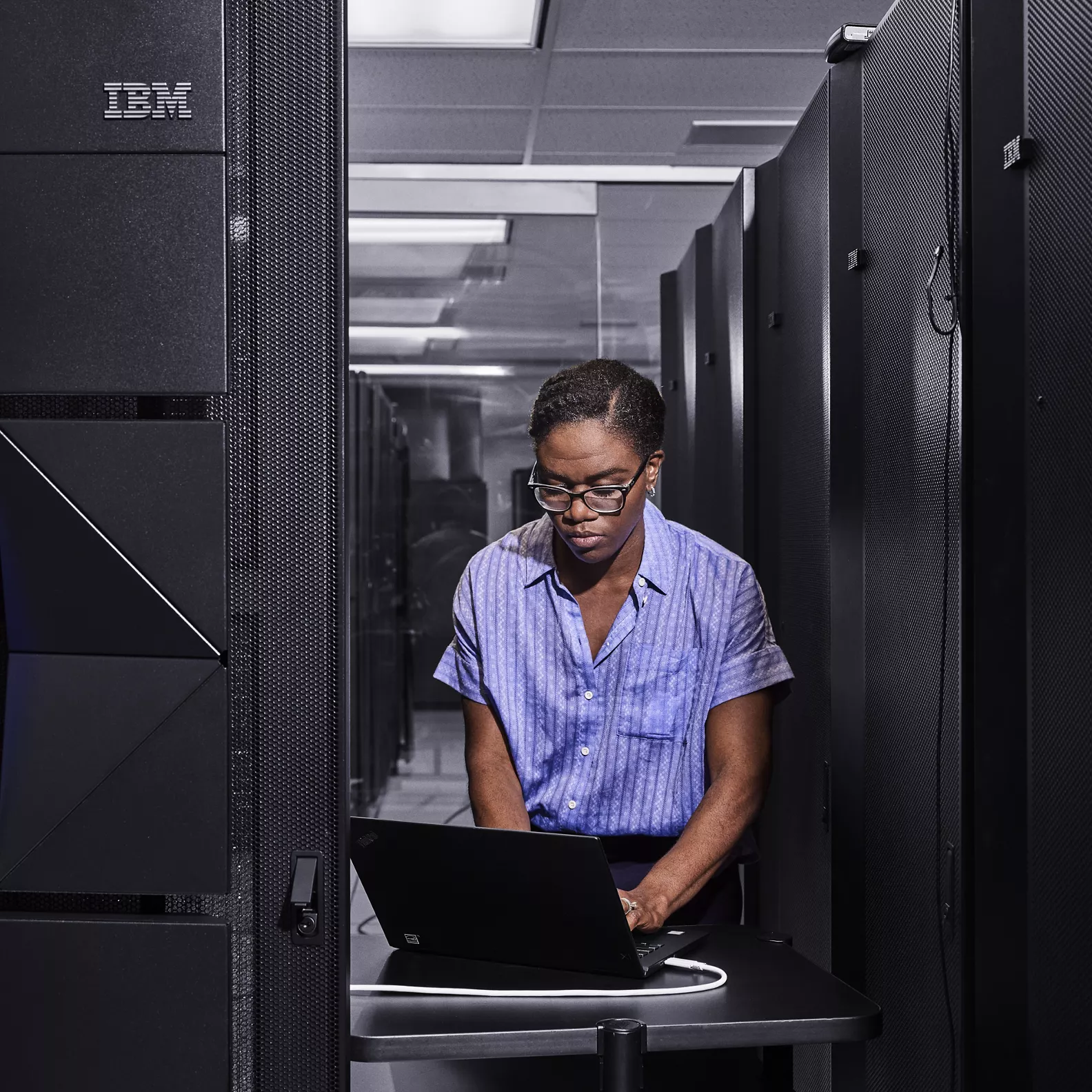 IBM z Integrated Information Processor (zIIP)