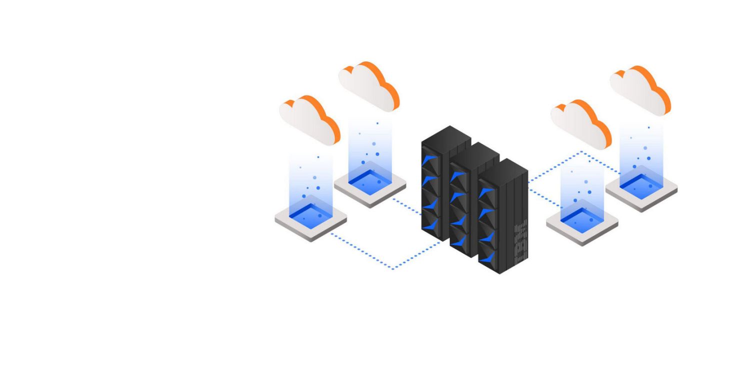 Netezza Performance Server
